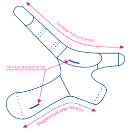 shemepf120.png shemepf120.png